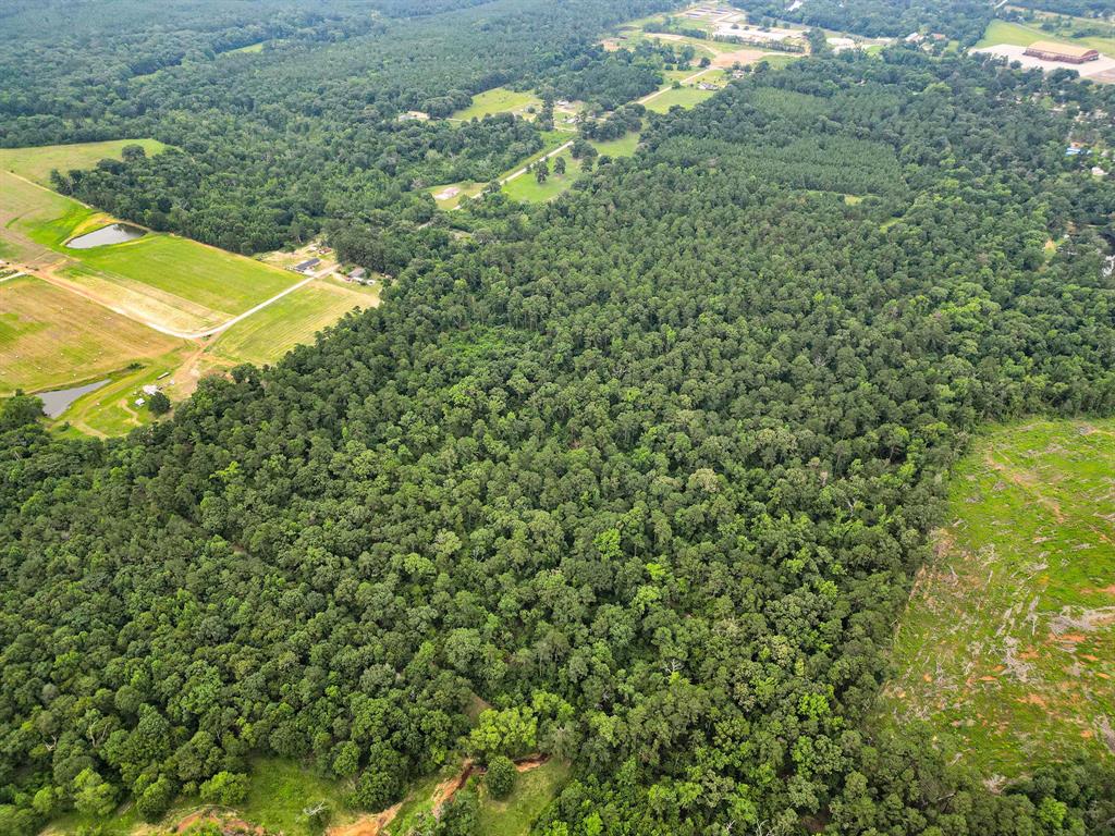 10114 County Road 272 Tyler, TX 75702 - Photo 36 of 38 a view of a yard with an outdoor space