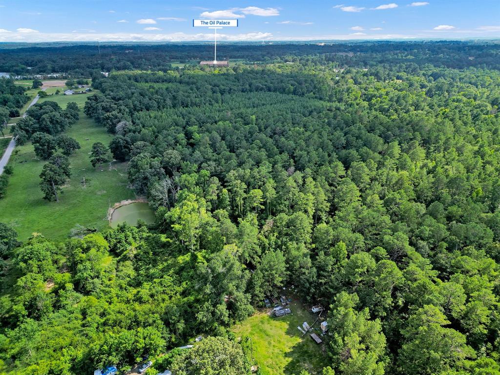 10114 County Road 272 Tyler, TX 75702 - Photo 38 of 38 a view of a yard