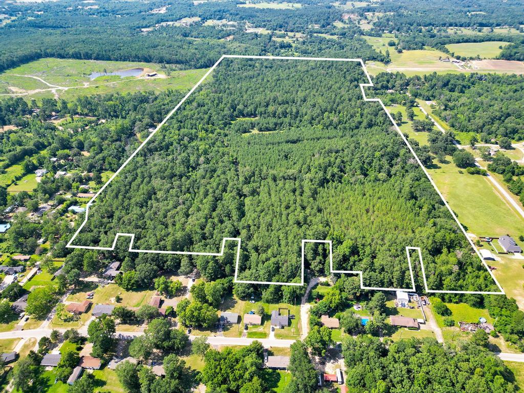 10114 County Road 272 Tyler, TX 75702 - Photo 4 of 38 a view of a garden