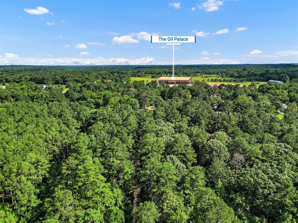 10114 County Road 272 Tyler, TX 75702 - Photo 6 of 38 a view of a outdoor space with a lake view