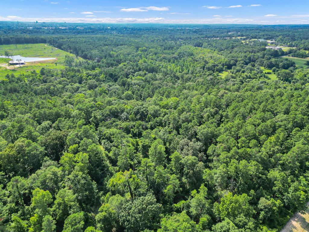 10114 County Road 272 Tyler, TX 75702 - Photo 9 of 38 a view of a lush green forest with trees and some houses
