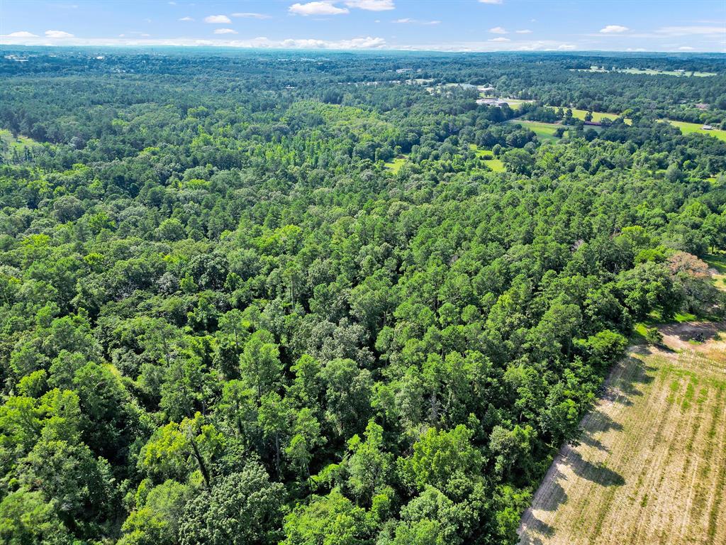 10114 County Road 272 Tyler, TX 75702 - Photo 10 of 38 a view of a lush green forest with trees and houses