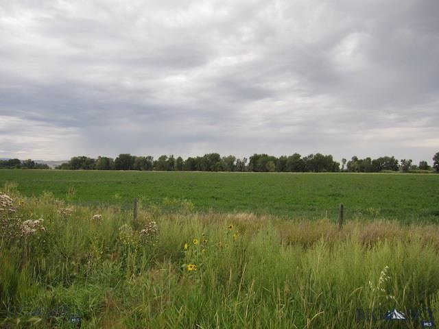 Lot 129 Tillyfour Road Bozeman, MT 59718 - Photo 1 of 1 Gallery Image 1
