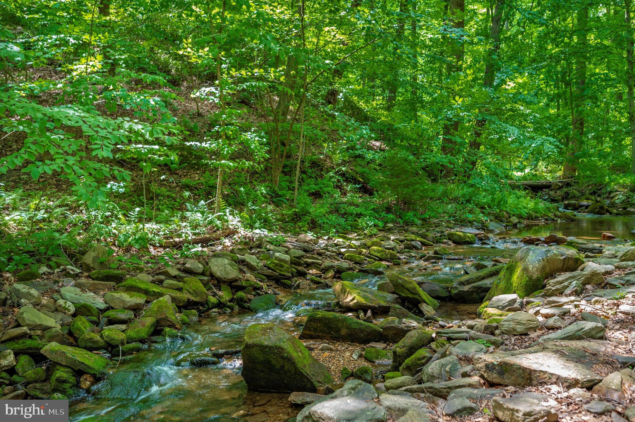 9301 Hamburg Road Frederick, MD 21702 - Photo 57 of 57 a view of a forest