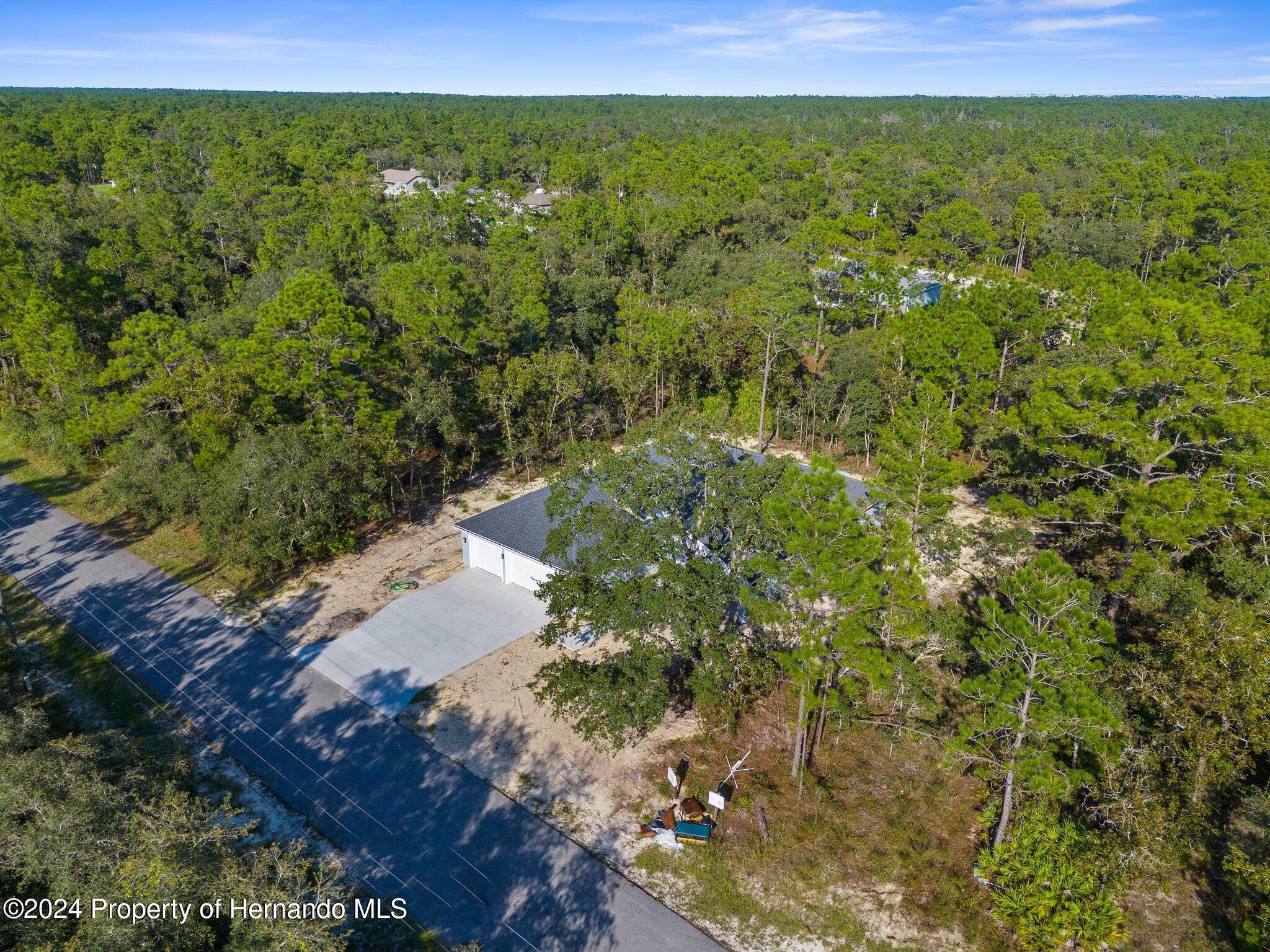 15214 Mt Sparrow Road Brooksville, FL 34614 - Photo 31 of 36 a view of a green field with lots of bushes