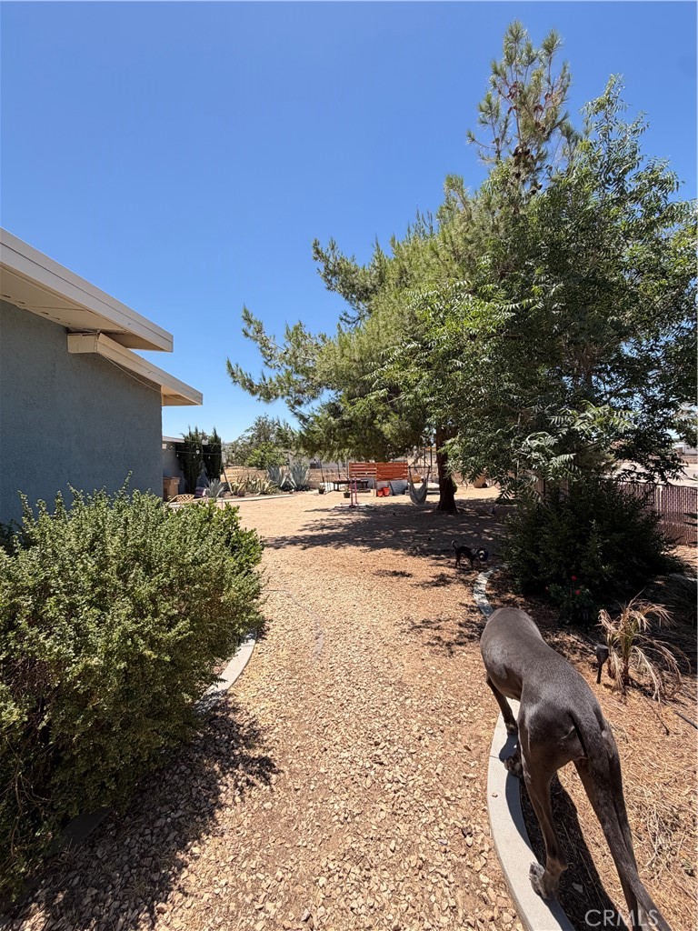 10623 4th Hesperia, CA 92345 - Photo 8 of 54