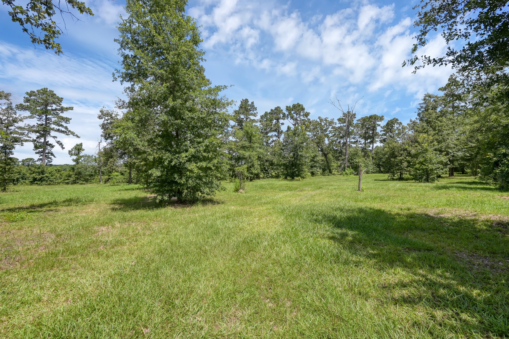400 Raven Hill Road Oakhurst, TX 77359 - Photo 5 of 45 a view of a green field with trees in the background