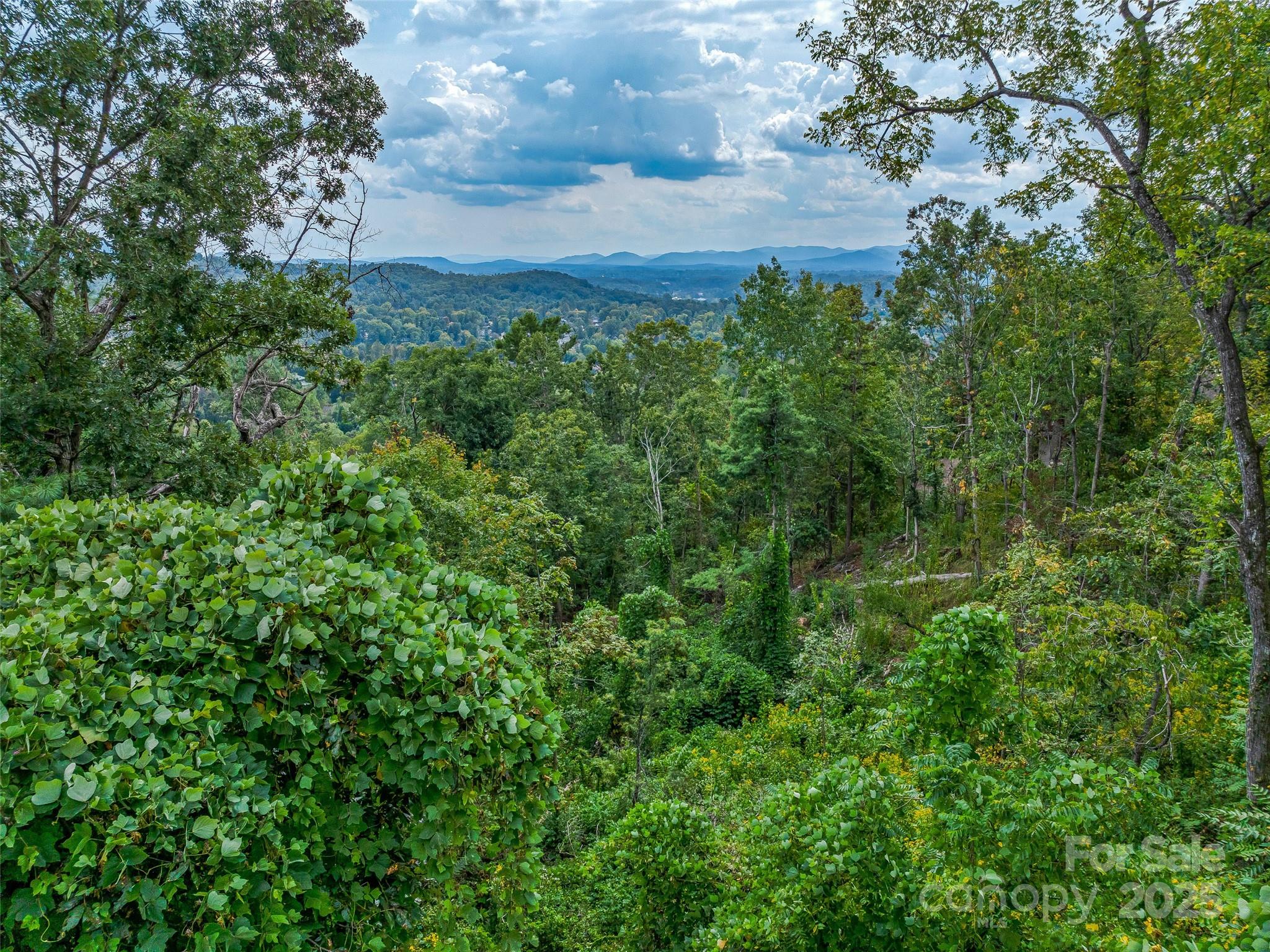 147 Senator Reynolds Road Asheville, NC 28804 - Photo 2 of 26