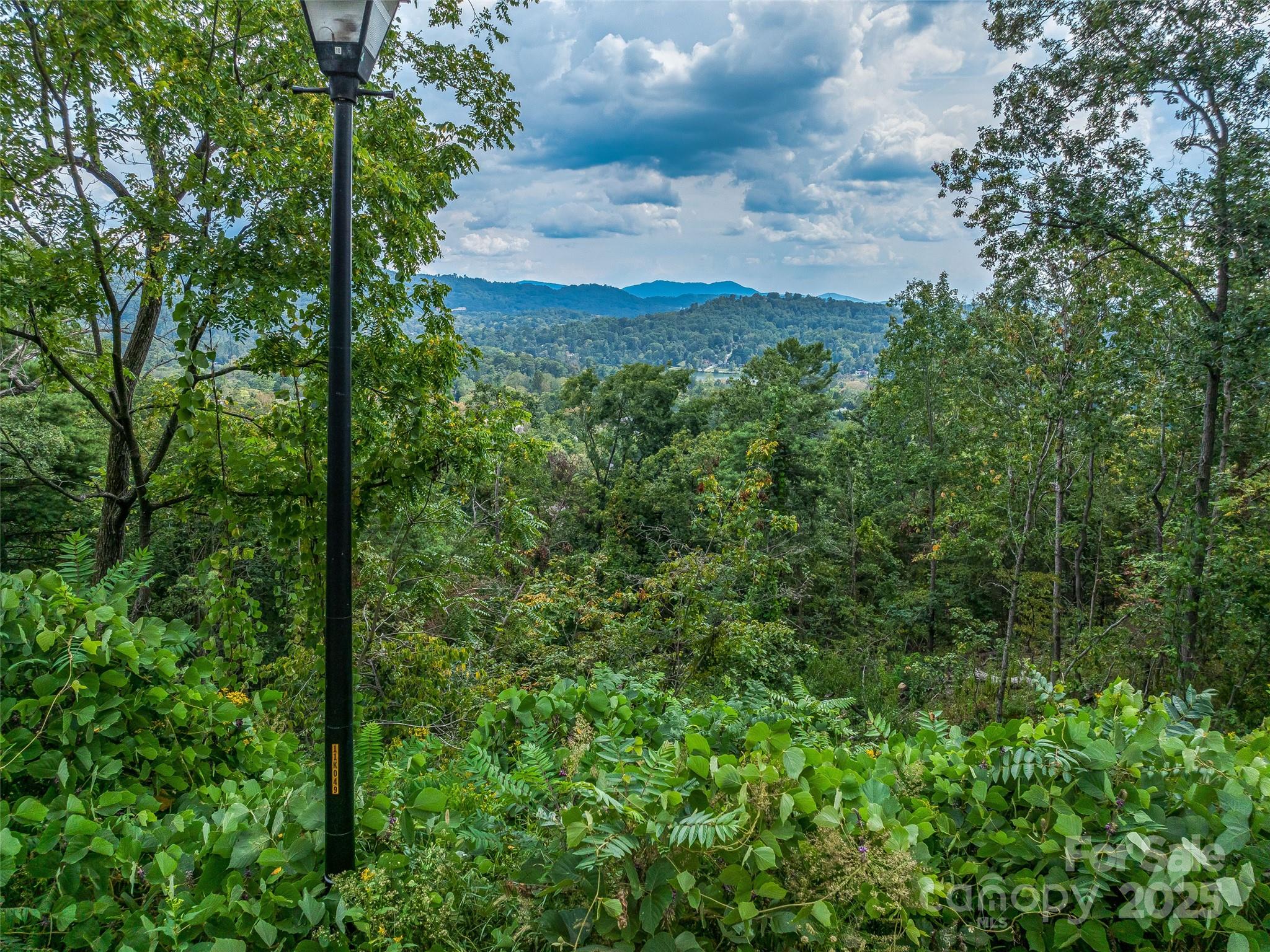 147 Senator Reynolds Road Asheville, NC 28804 - Photo 22 of 26