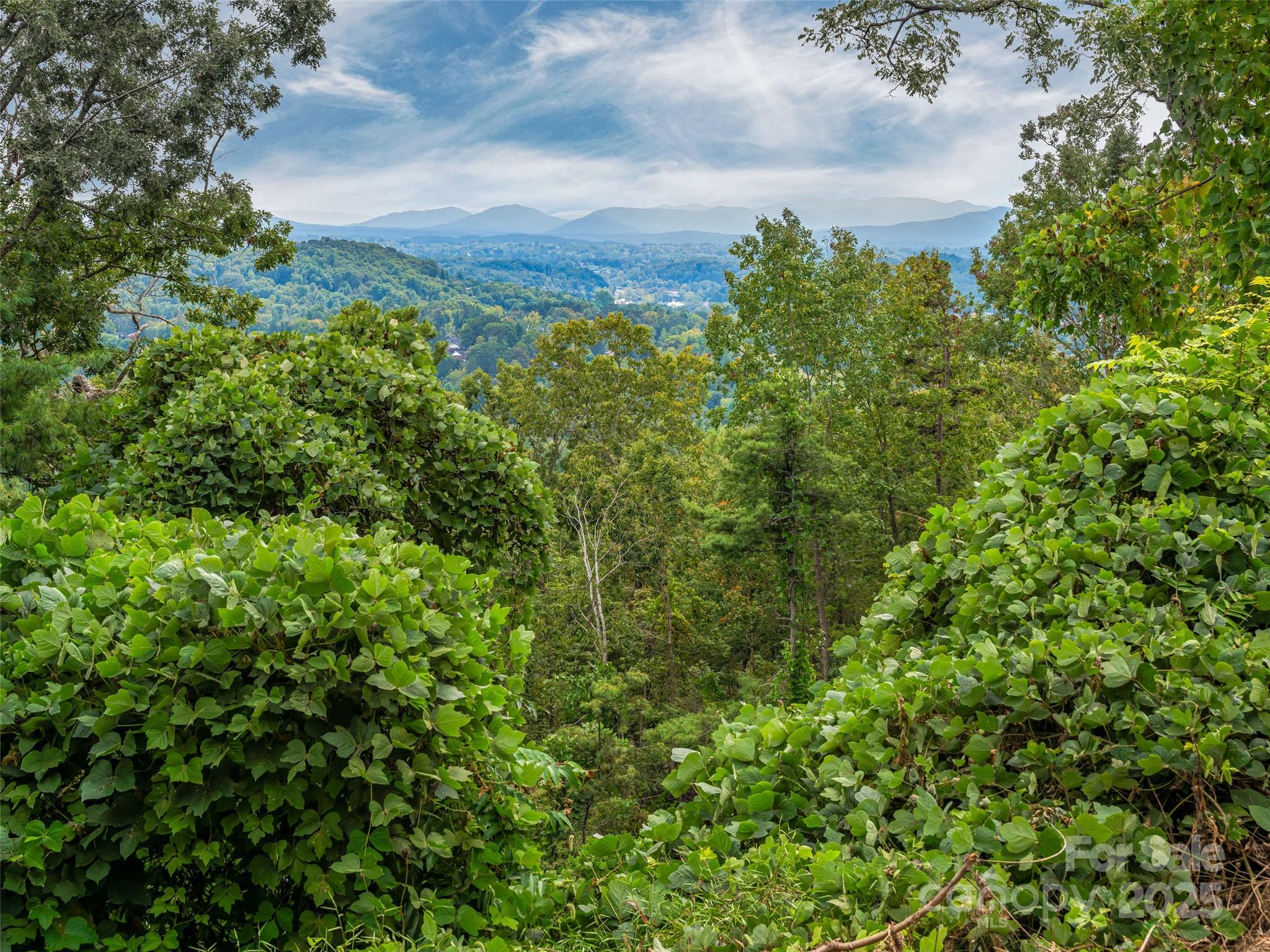 147 Senator Reynolds Road Asheville, NC 28804 - Photo 24 of 26