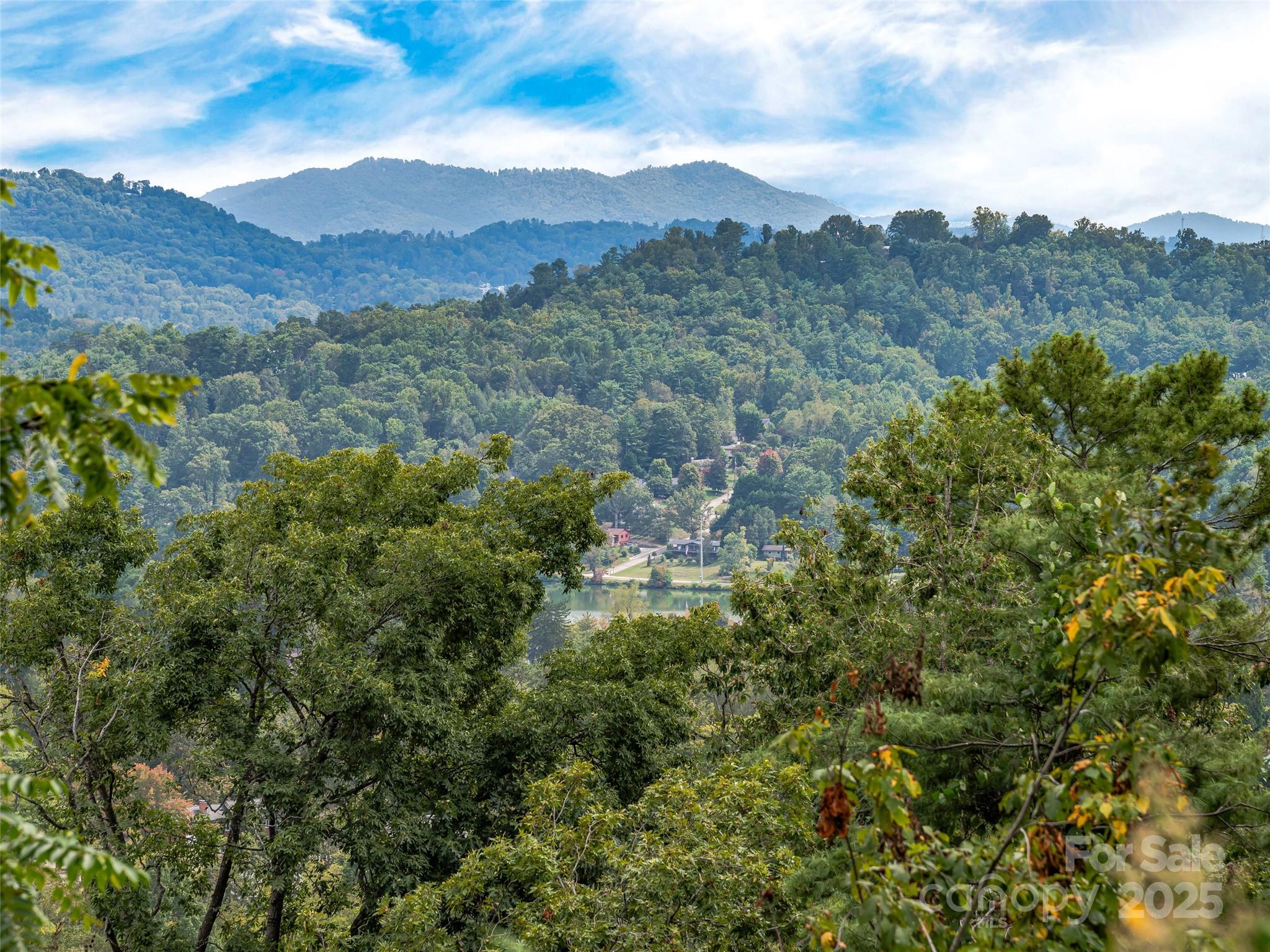 147 Senator Reynolds Road Asheville, NC 28804 - Photo 25 of 26