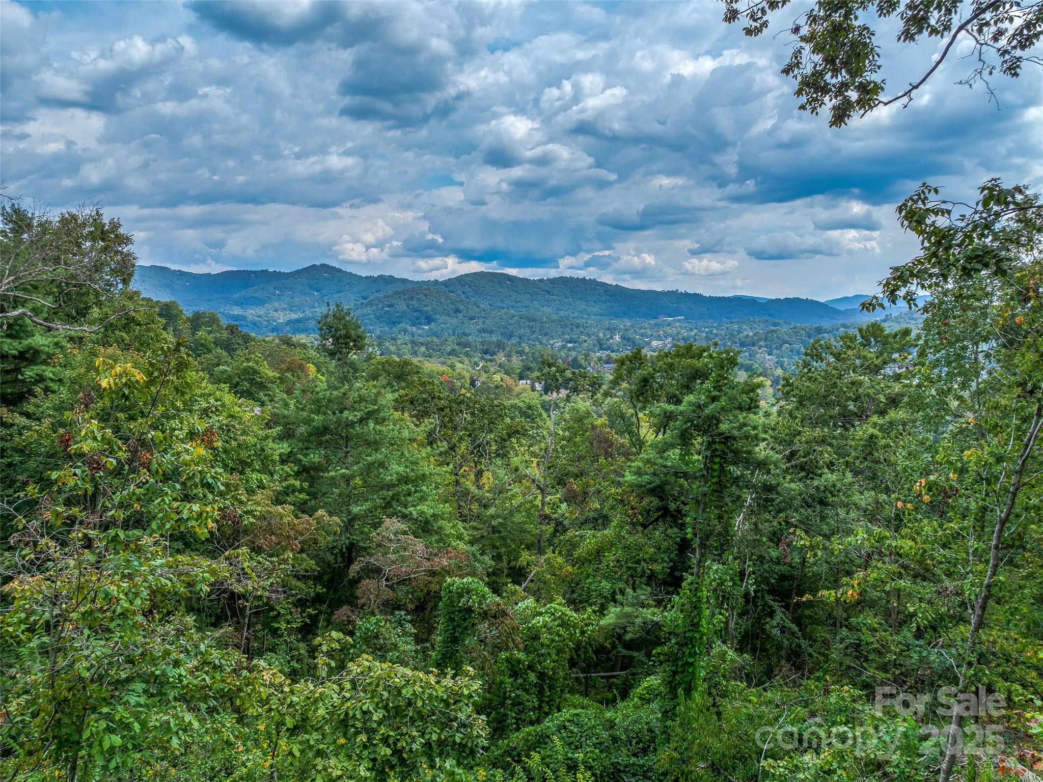 147 Senator Reynolds Road Asheville, NC 28804 - Photo 3 of 26