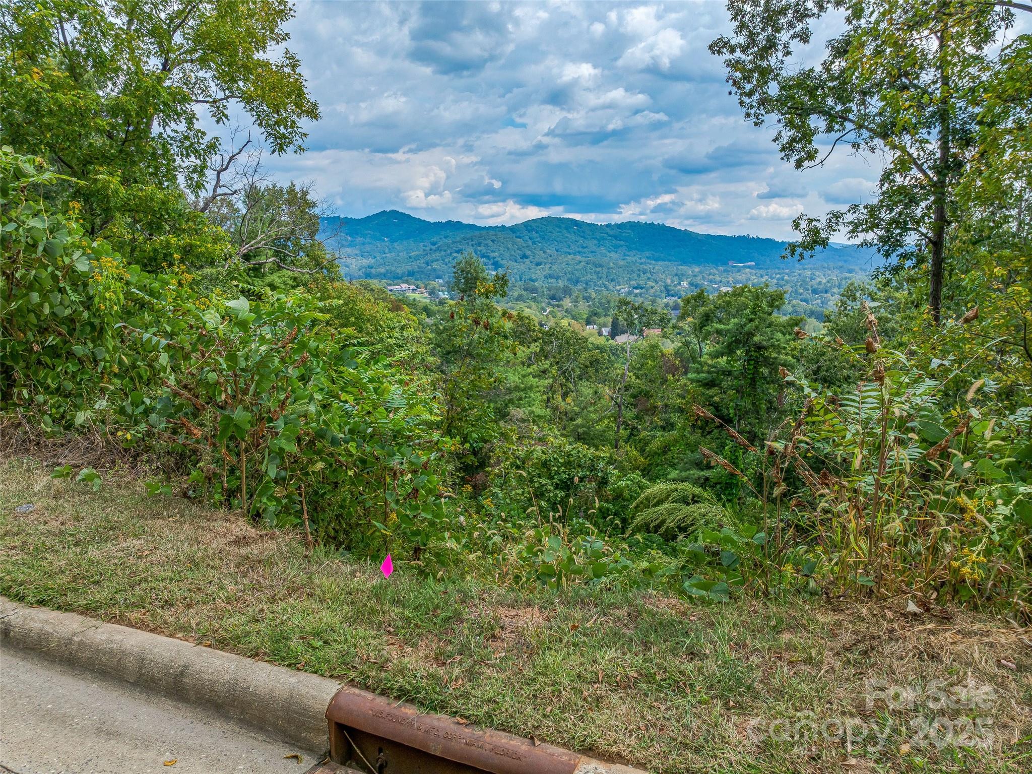 147 Senator Reynolds Road Asheville, NC 28804 - Photo 9 of 26