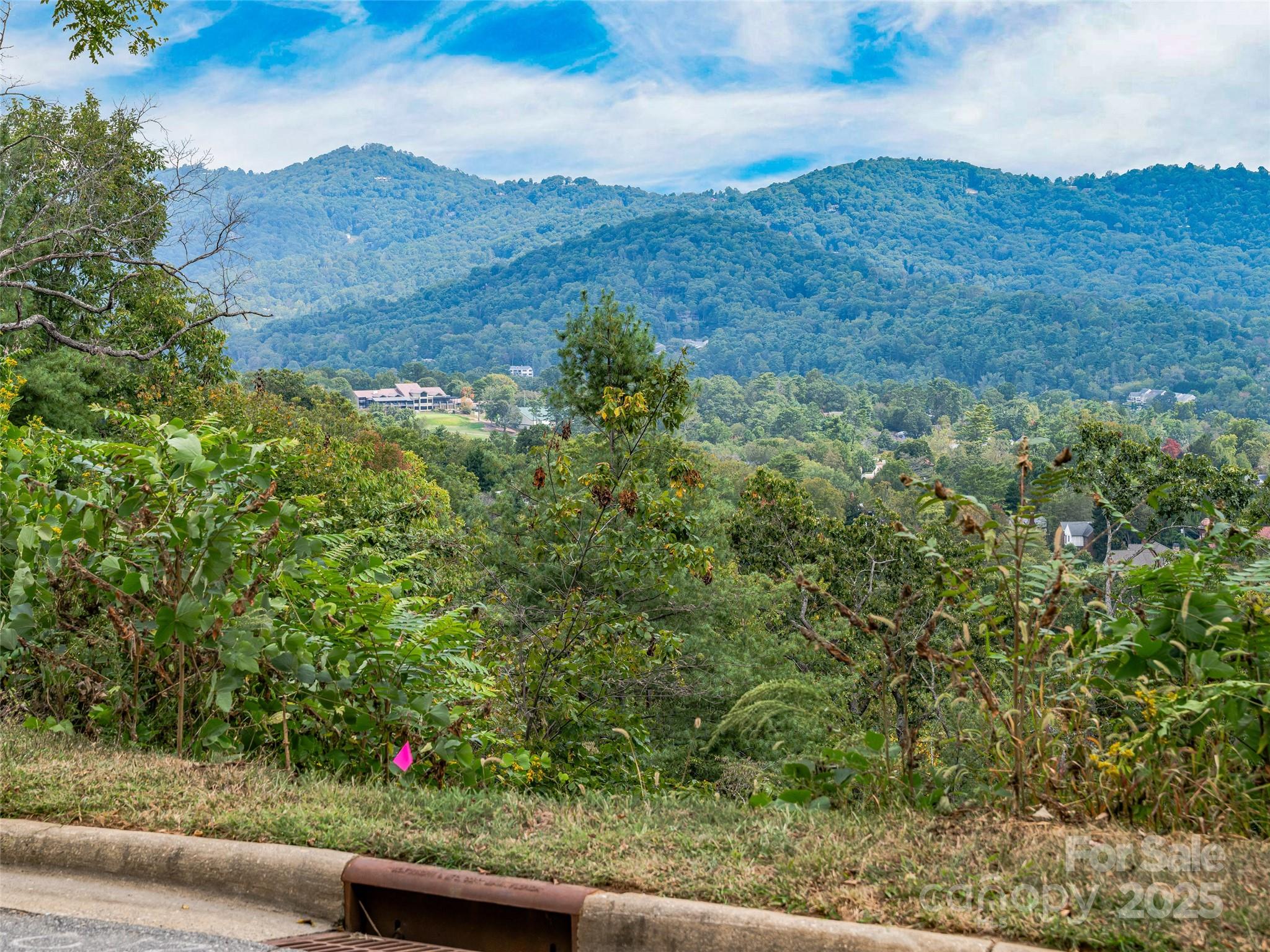 147 Senator Reynolds Road Asheville, NC 28804 - Photo 10 of 26