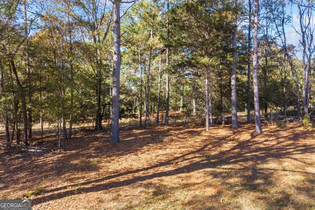 a view of a porch with chairs and potted plants