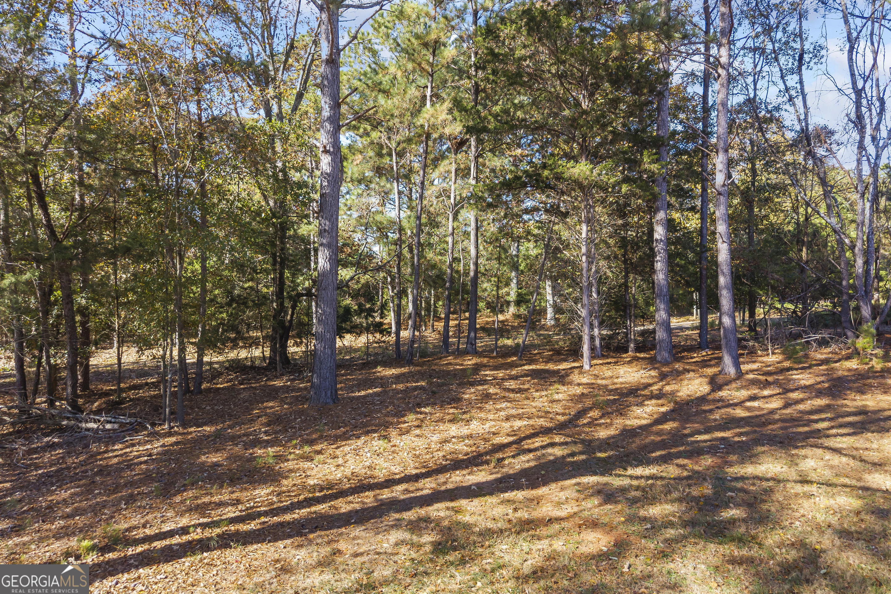 32 Shirleys Way Hartwell, GA 30643 - Photo 9 of 42 a view of road with trees