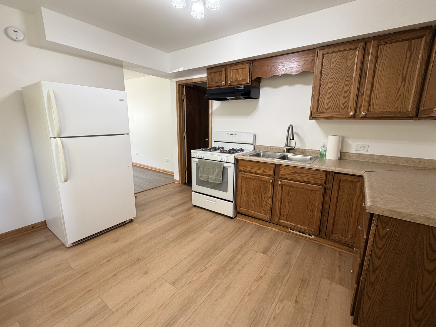 602 South State Street, Unit 1S Lockport, IL 60441 - Photo 4 of 13