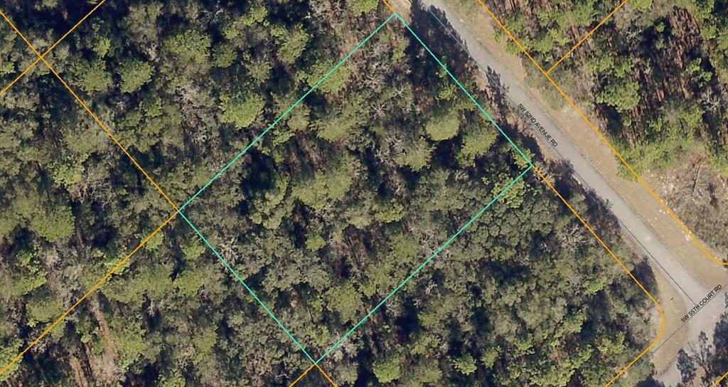 Southwest 52nd Avenue Road Ocala, FL 34473 - Photo 1 of 1 Gallery Image 1