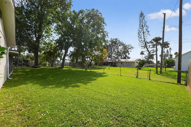 a view of a park with lots of trees