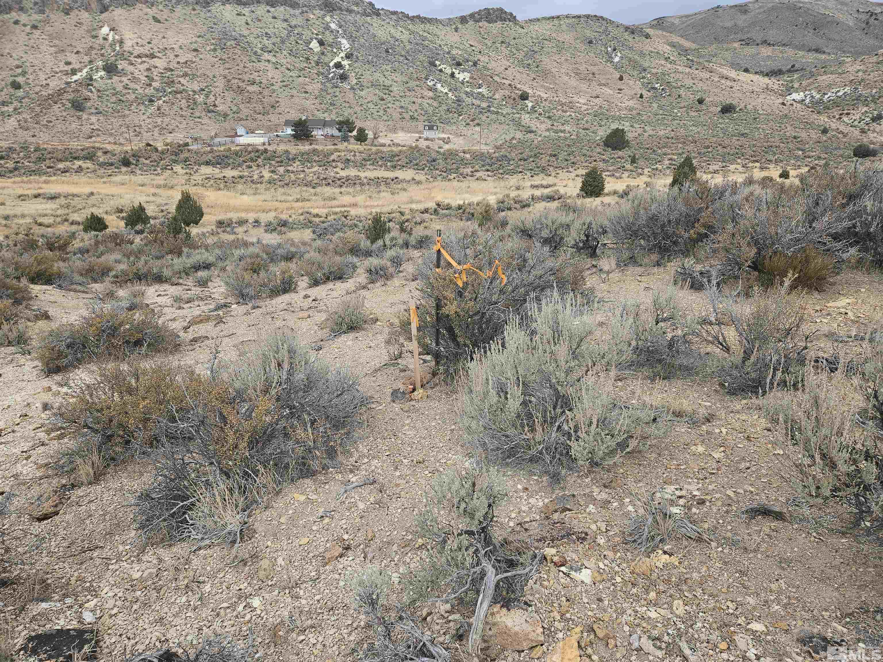 Chokecherry Lane Reno, NV 89508 - Photo 8 of 17 Photo 8