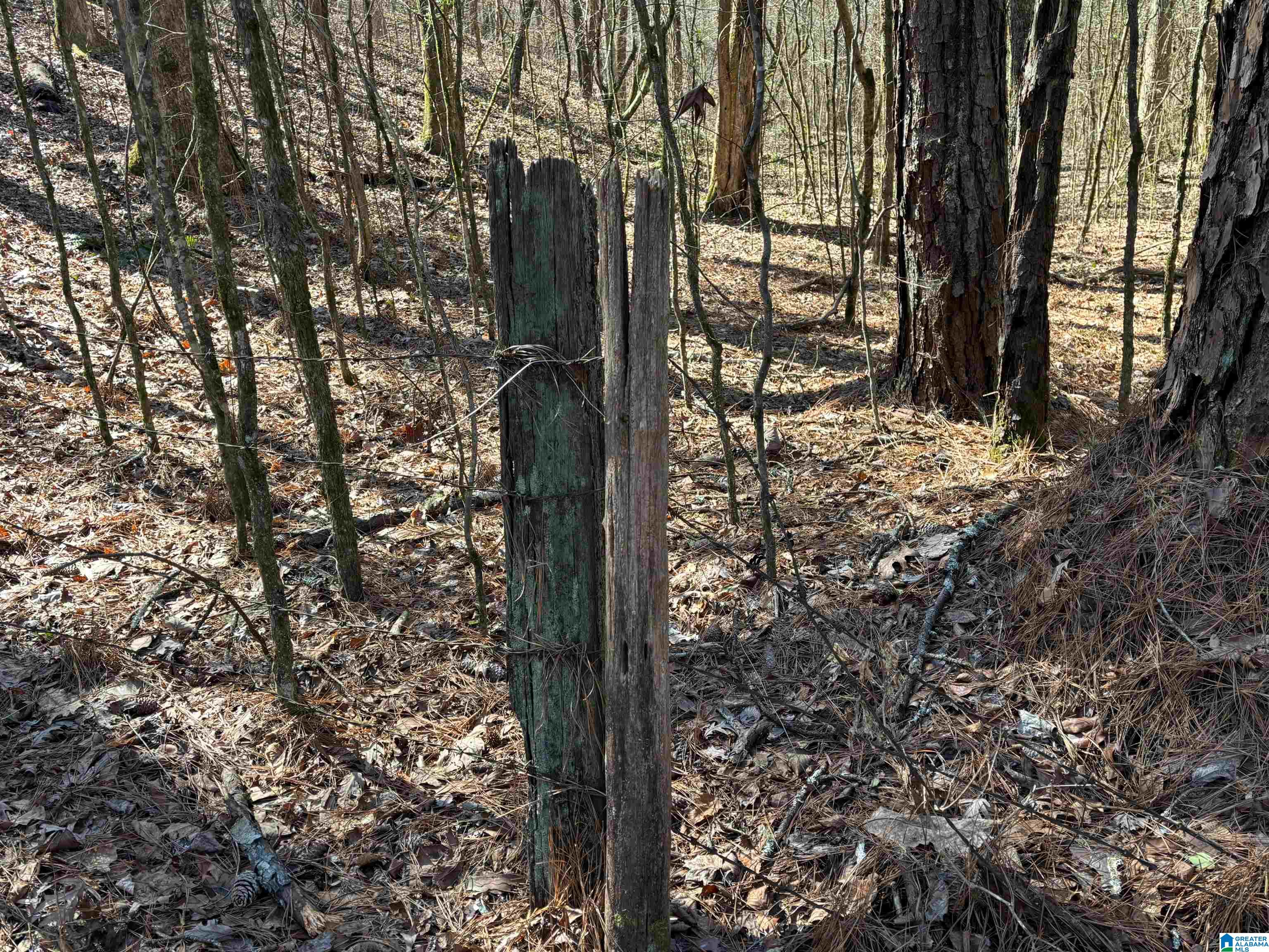 7380 Narrows Road, Unit 148 / ACRES Pinson, AL 35126 - Photo 10 of 22