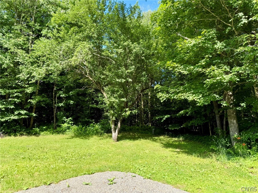 631 Witzigman Road Lewis, NY 13489 - Photo 29 of 29