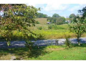 3450 Old Baileyton Road Greeneville, TN 37745 - Photo 13 of 14 view from the front porch
