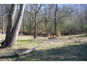 3450 Old Baileyton Road Greeneville, TN 37745 - Photo 14 of 14 Back yard