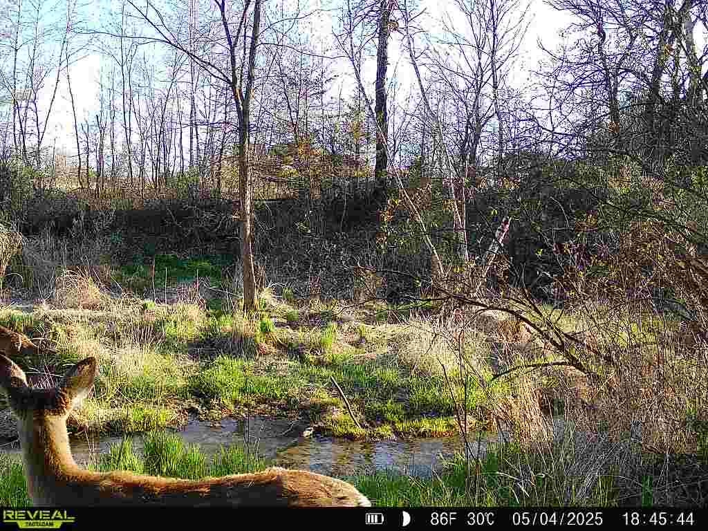 17.75-acres County Rd G Oxford, WI 53952 - Photo 20 of 56
