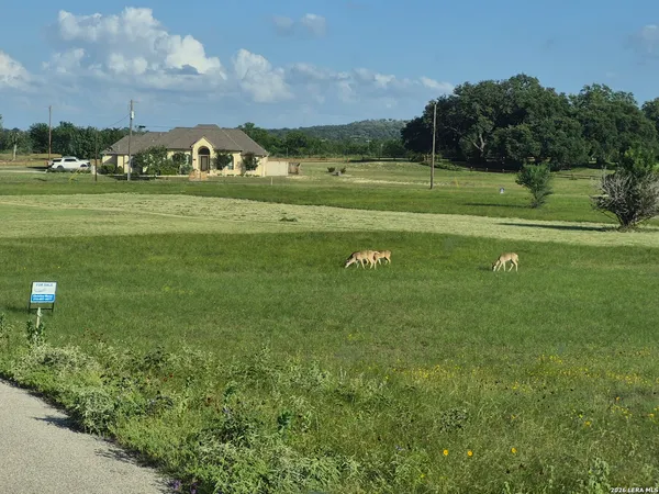 $37,000 | Lot 4 Antler Circle, Bandera, TX 78003