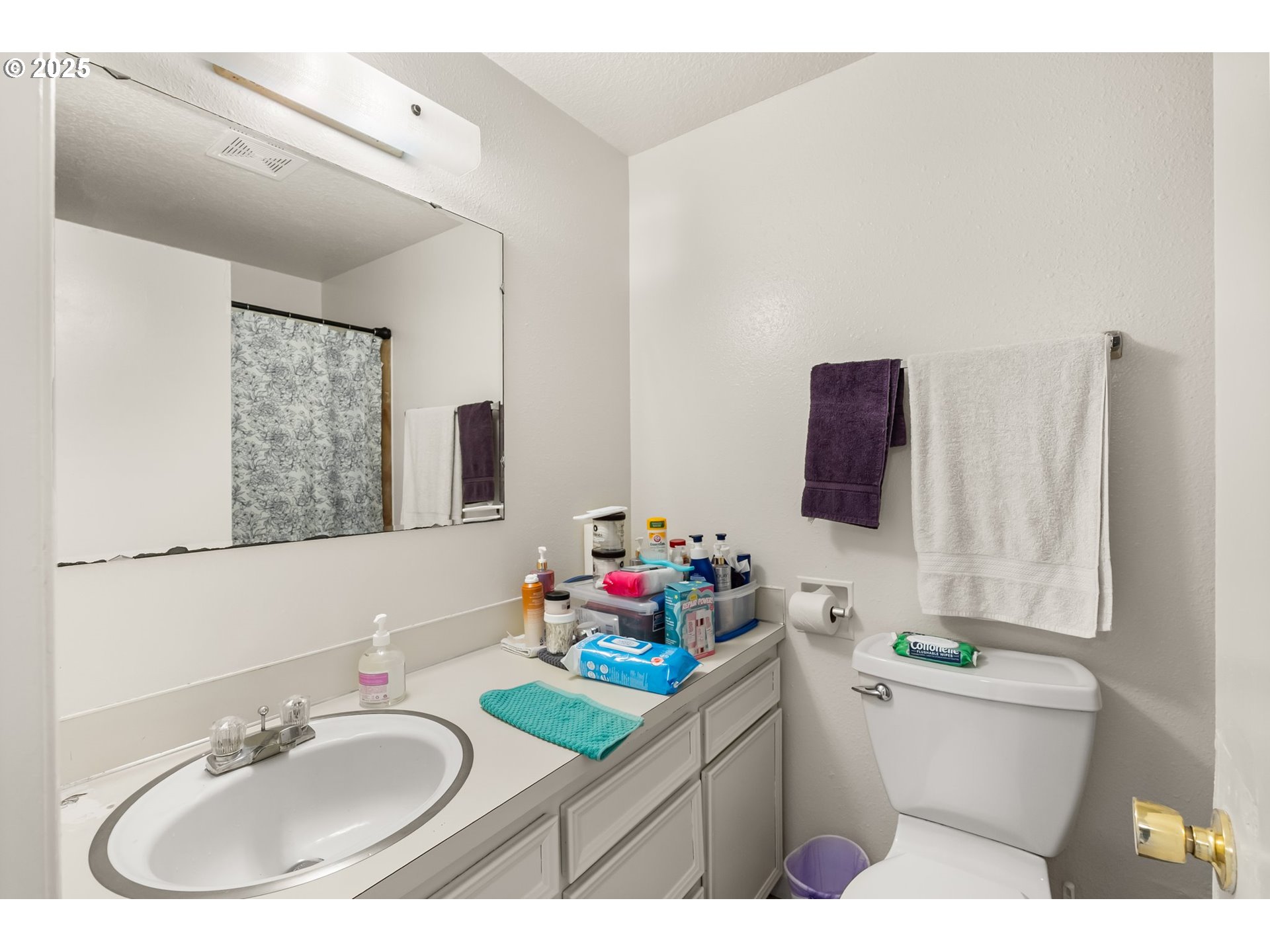 1720 17th Street Springfield, OR 97477 - Photo 20 of 23 a bathroom with a sink mirror vanity and toilet