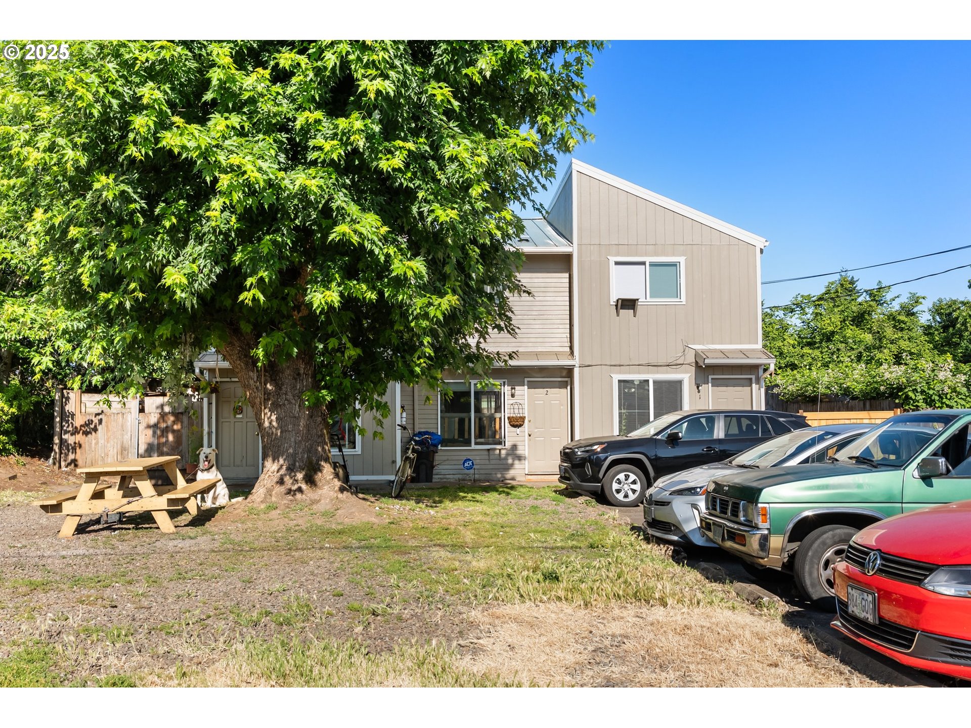 1720 17th Street Springfield, OR 97477 - Photo 4 of 23 a view of yard with car parked