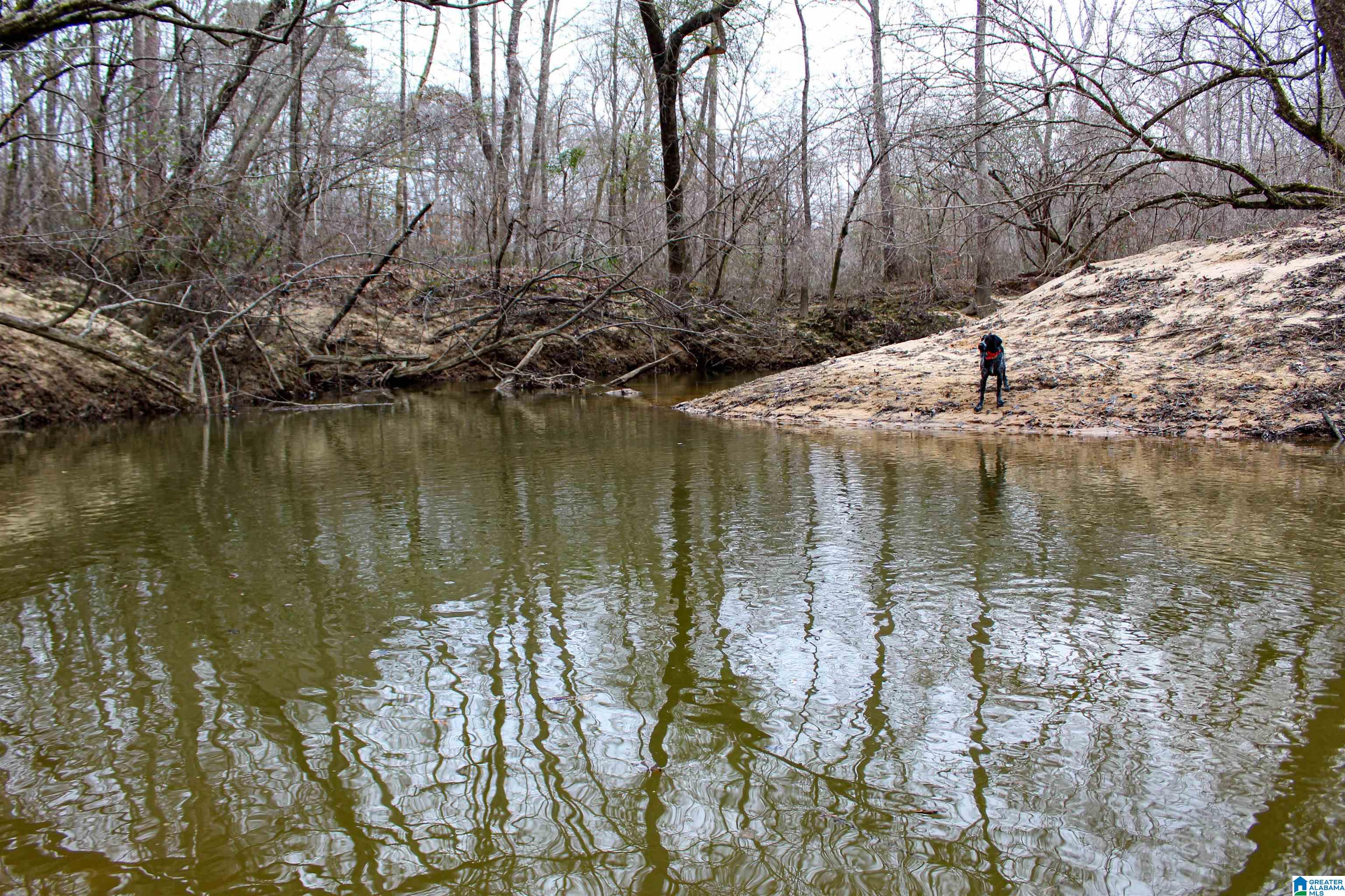 339 County Road Nauvoo, AL 35578 - Photo 38 of 57