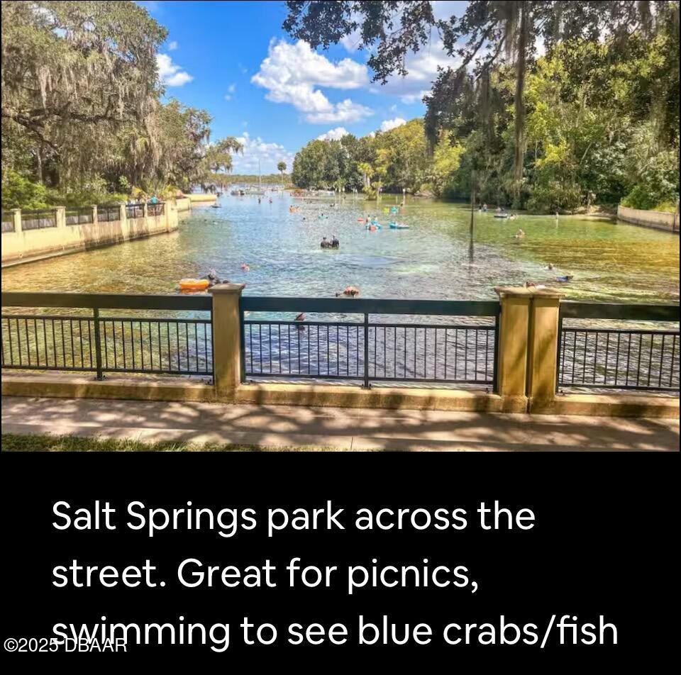 25145 Northeast 140th Loop Salt Springs, FL 32134 - Photo 11 of 48 a view of swimming pool with an ocean view