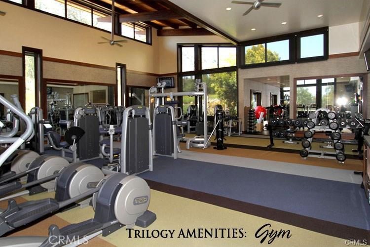 1035 Gavin Lane Nipomo, CA 93444 - Photo 68 of 70 a view of a room with gym equipment