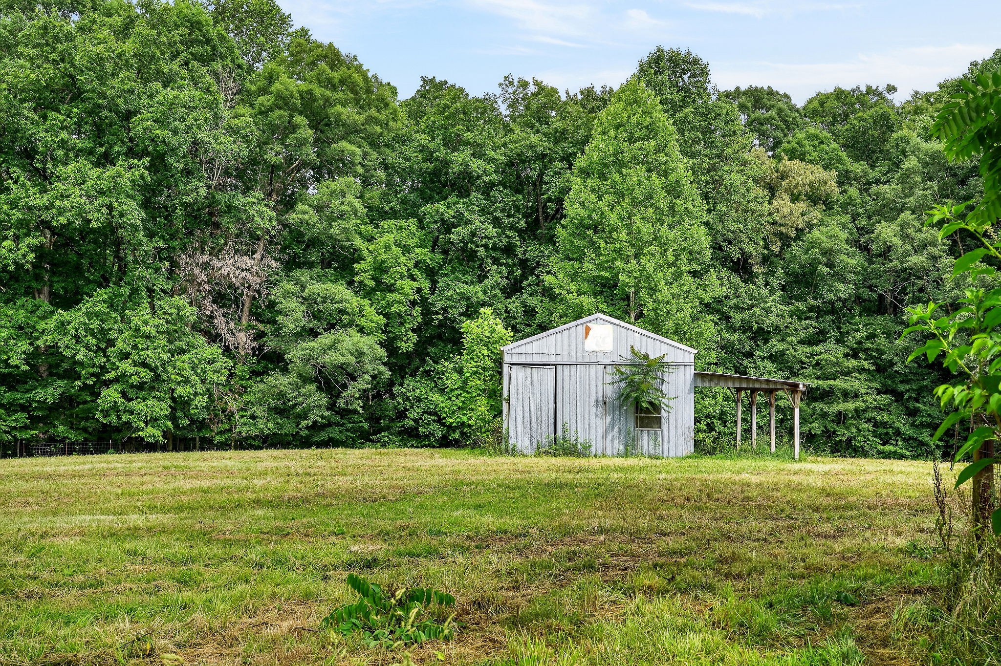 744 King Ridge Road Dowelltown, TN 37059 - Photo 7 of 13