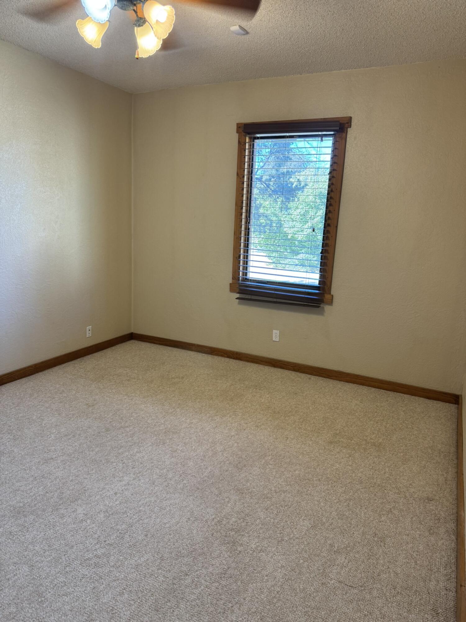 6515 15th Drive Lubbock, TX 79416 - Photo 15 of 27 IMG_4850