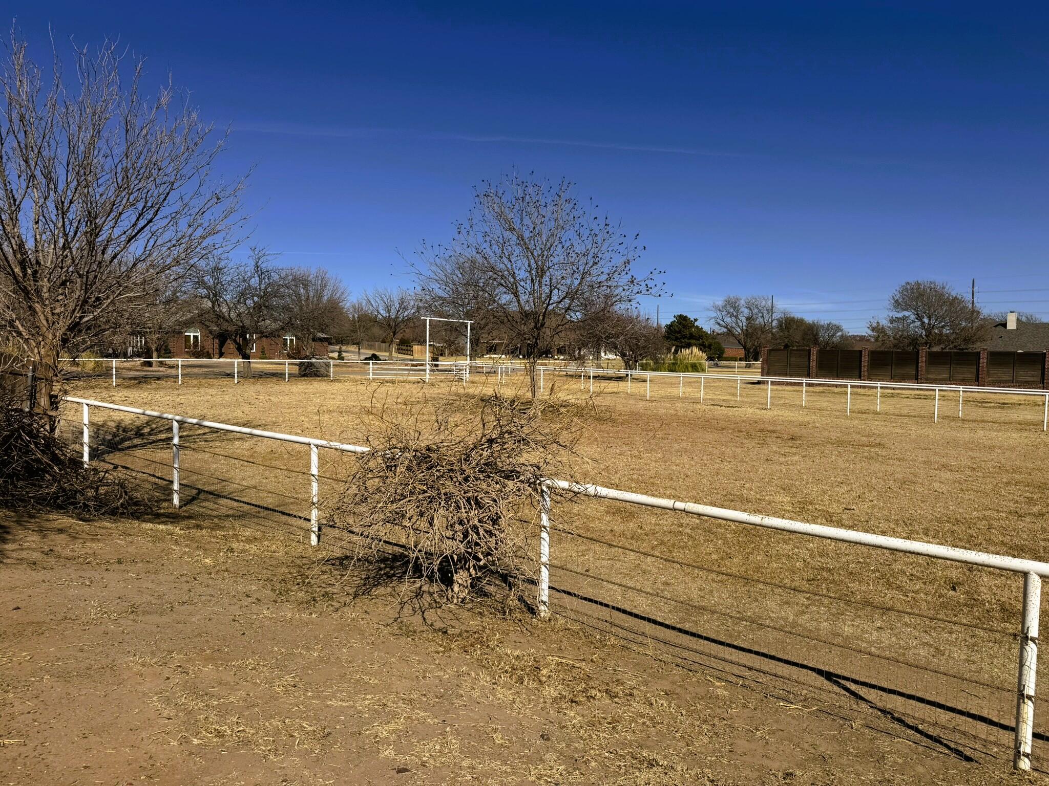6515 15th Drive Lubbock, TX 79416 - Photo 27 of 27 IMG_4886a