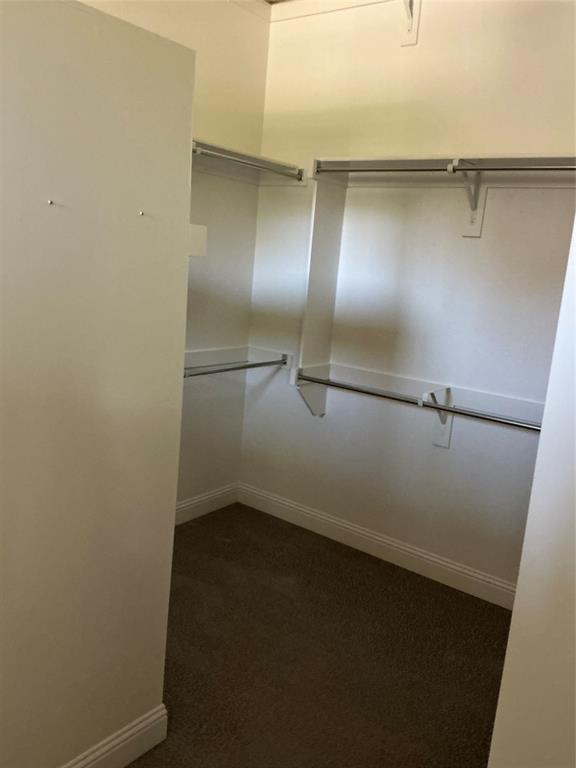 2195 English Ivy Road Frisco, TX 75033 - Photo 9 of 23 Only a portion of the Primary BR closet
