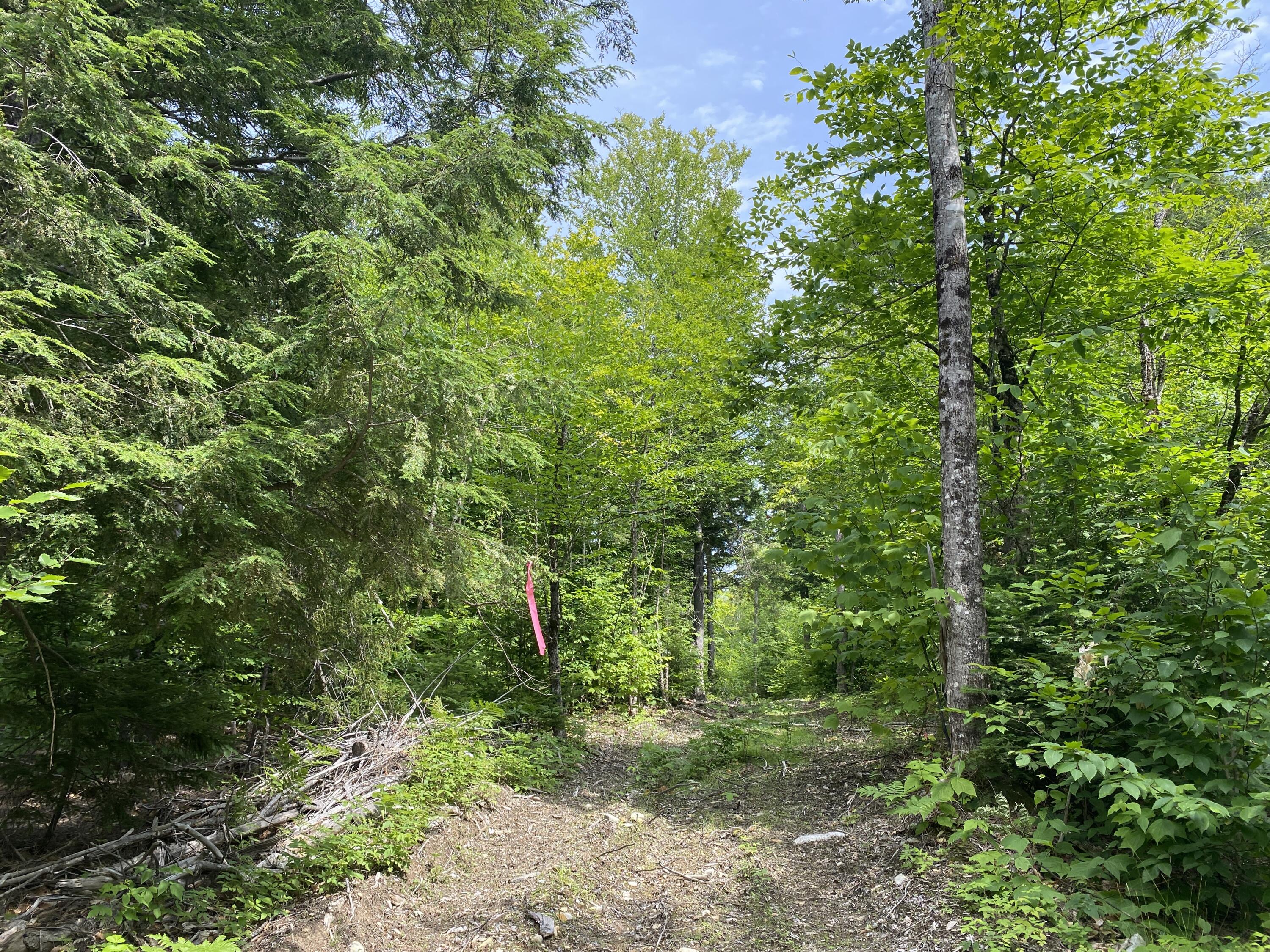 1511 Otis Road Ellsworth, ME 04605 - Photo 11 of 15 IMG_3911