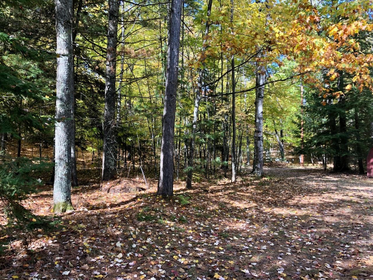 Three Campground Road Three Lakes, WI 54562 - Photo 4 of 23 Gallery Image 4