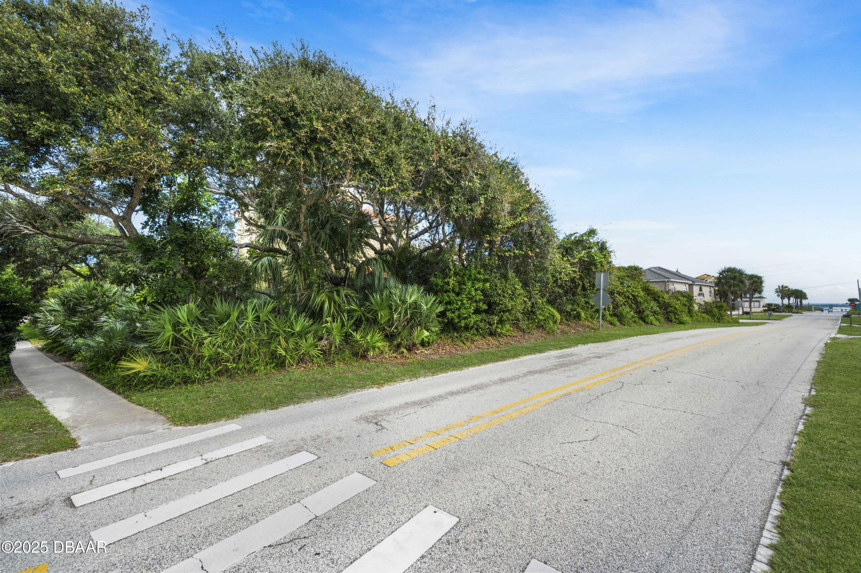 38 South Turn Circle Ponce Inlet, FL 32127 - Photo 39 of 49 a view of a road with a yard
