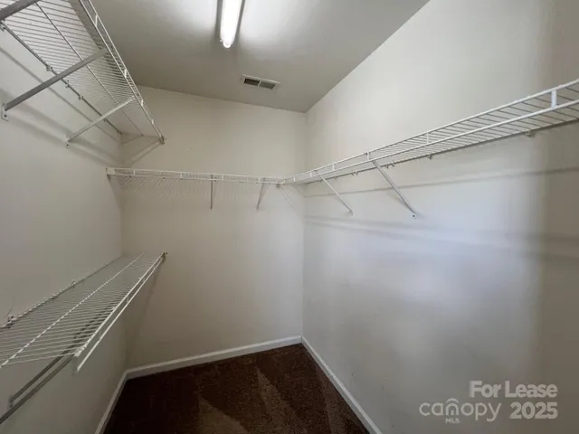 a view of a garden with large trees