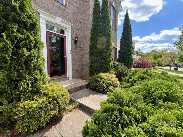 a view of a garden with flower plants