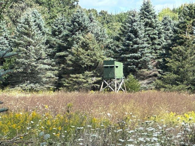 Lot 1 East Clyde Road Howell, MI 48855 - Photo 21 of 29