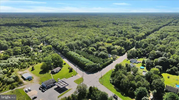 an aerial view of a residential houses with street and trees