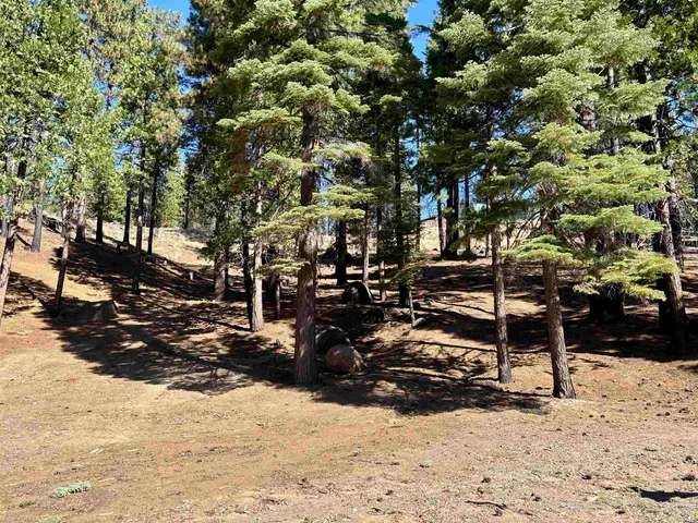 a view of a yard covered in snow