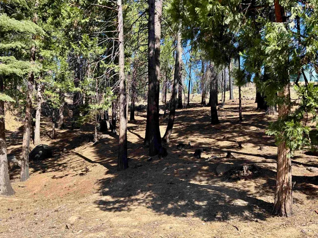 a view of outdoor space with trees