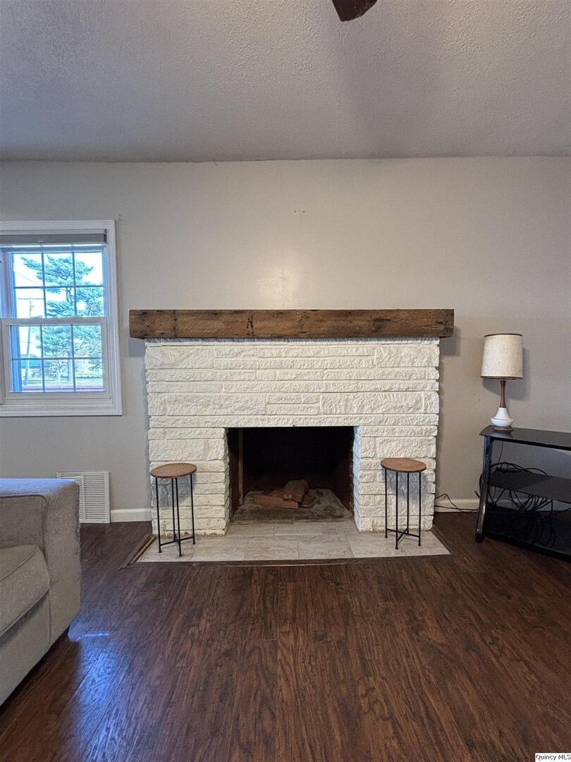 41 Main Street Carthage, IL 62321 - Photo 12 of 27 a living room with furniture and a fireplace