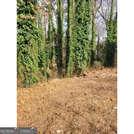 a view of a yard with plants and trees